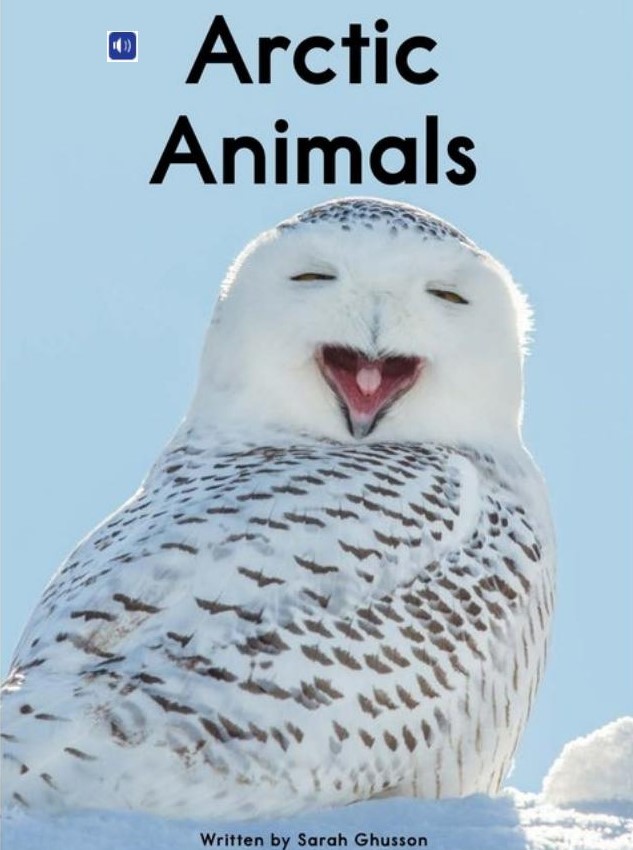 Arctic animals