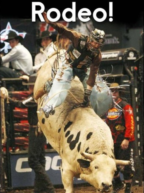 At the Rodeo