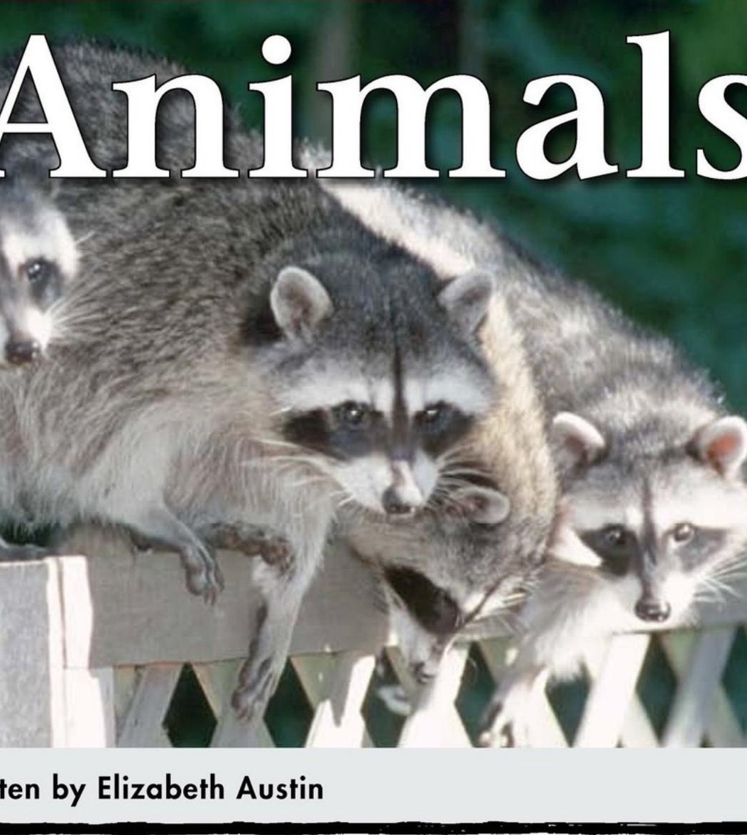 City Animals