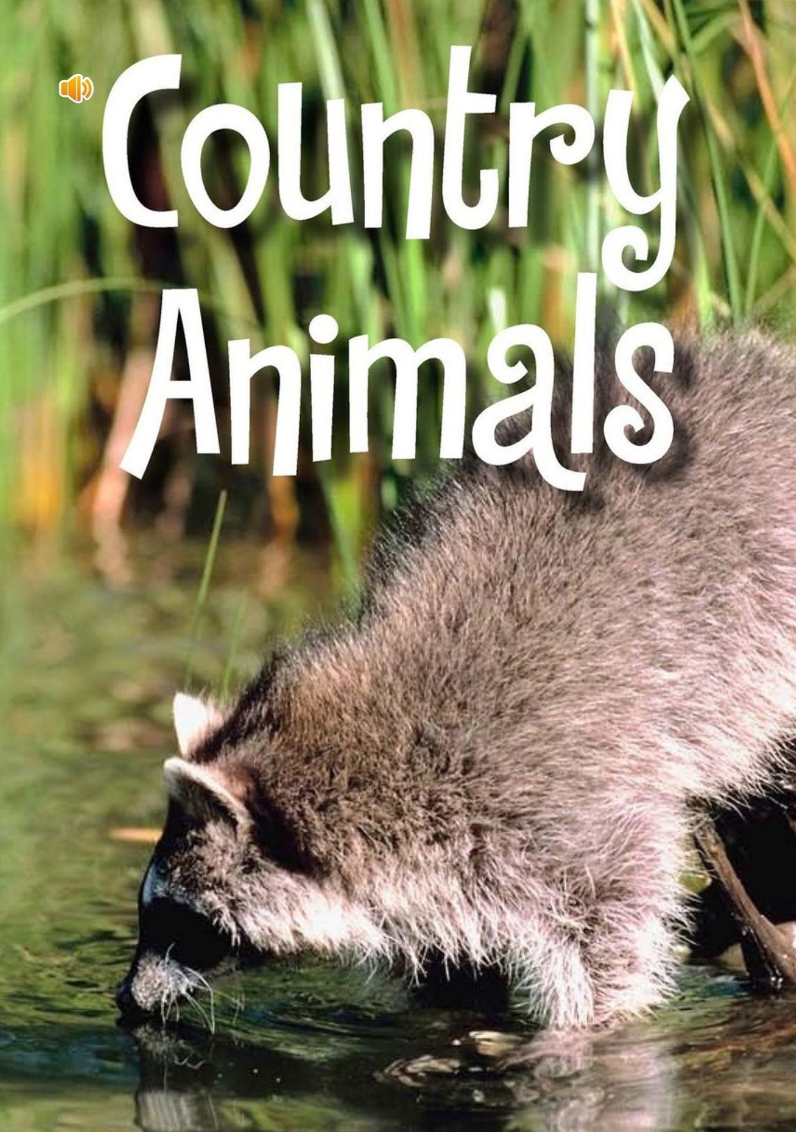 Country Animals