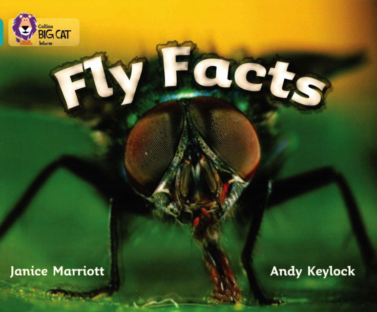 Fly Facts
