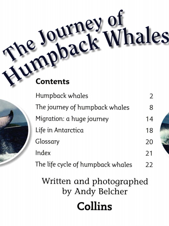 The Journey of Humpback Whales