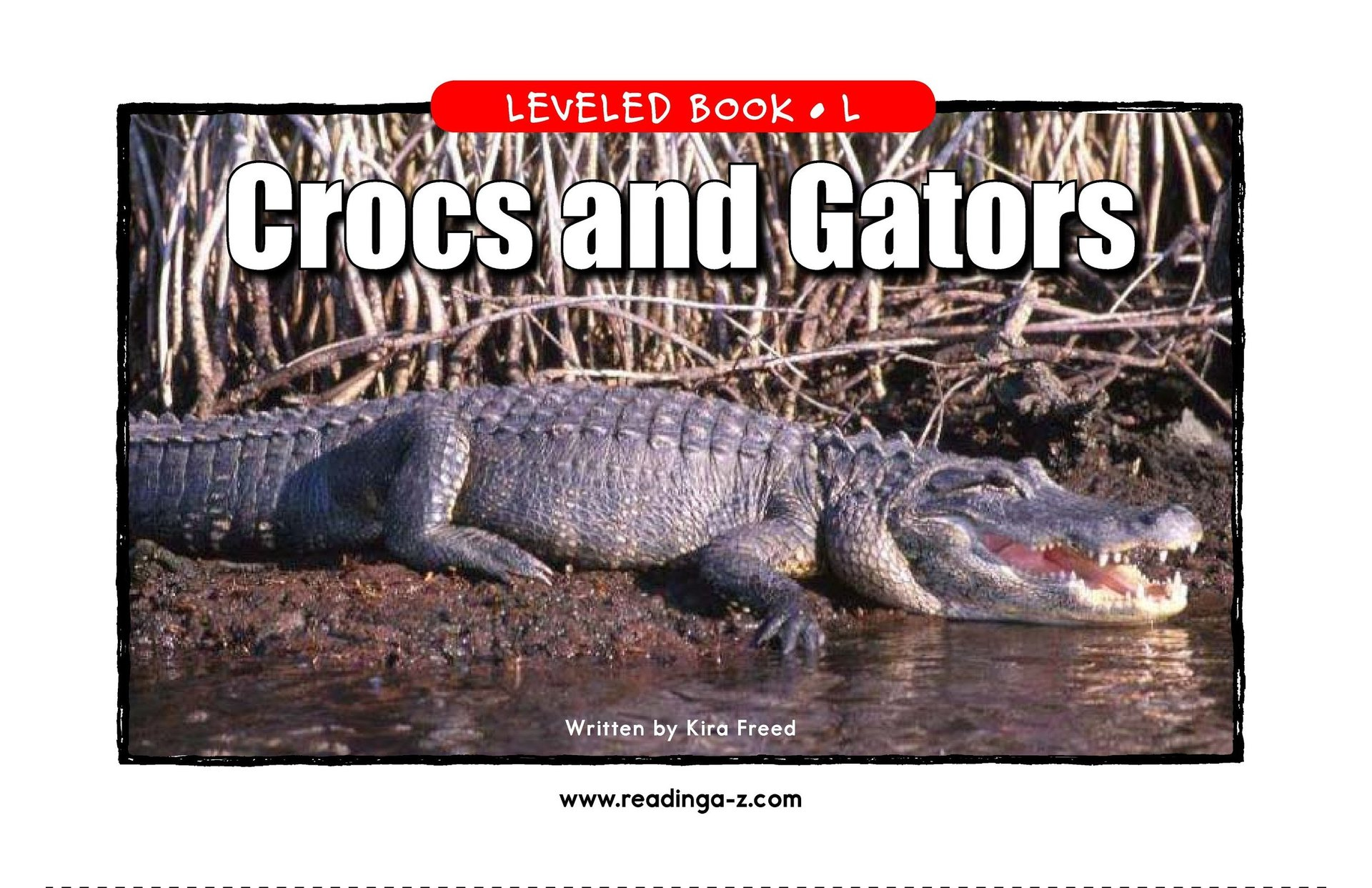 Crocs and Gators