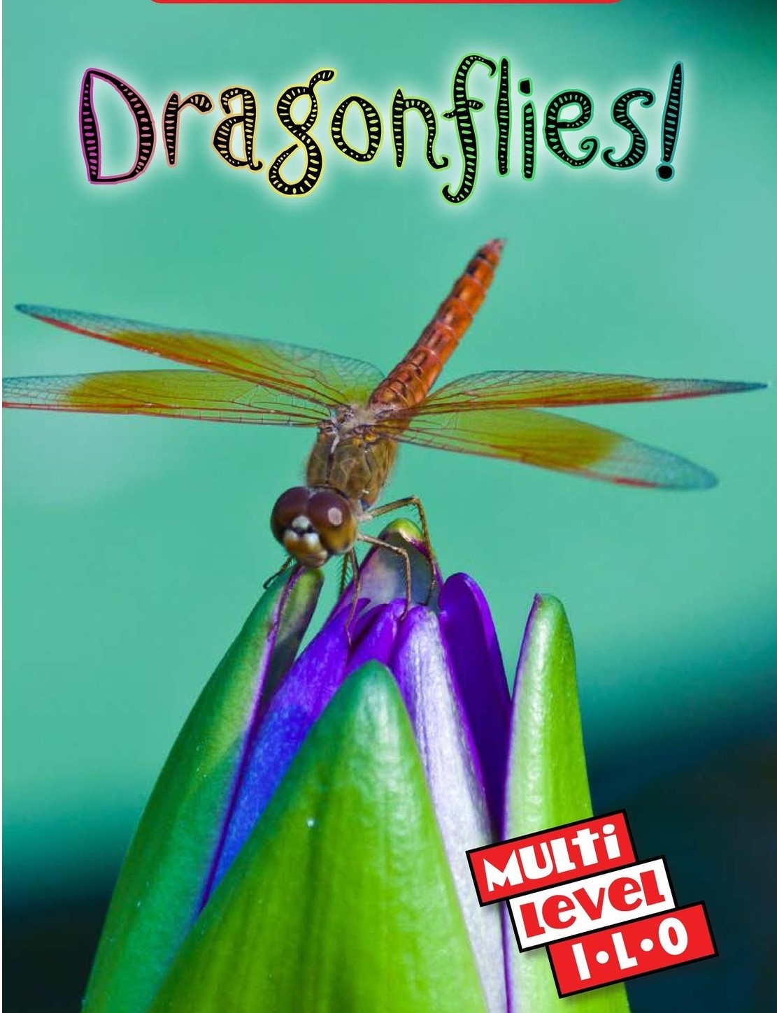Dragonflies!