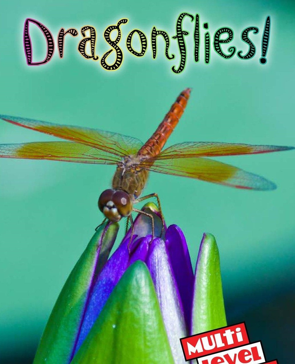 Dragonflies!