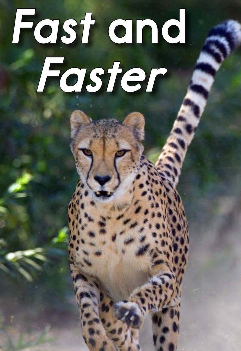 Fast and Faster