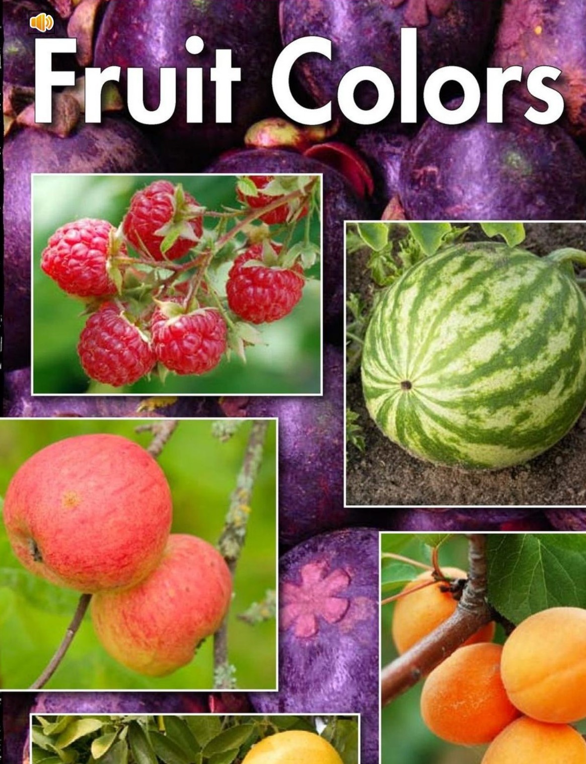 Fruit Colors