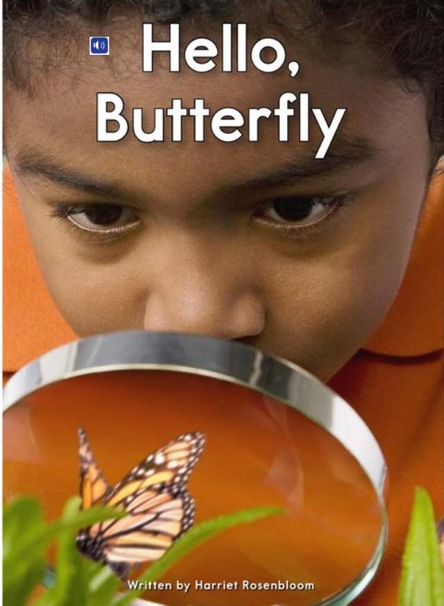 Hello butterfly