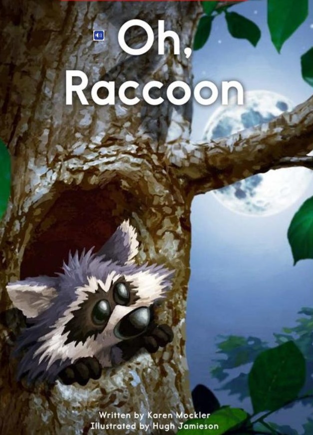 Oh, Raccooon