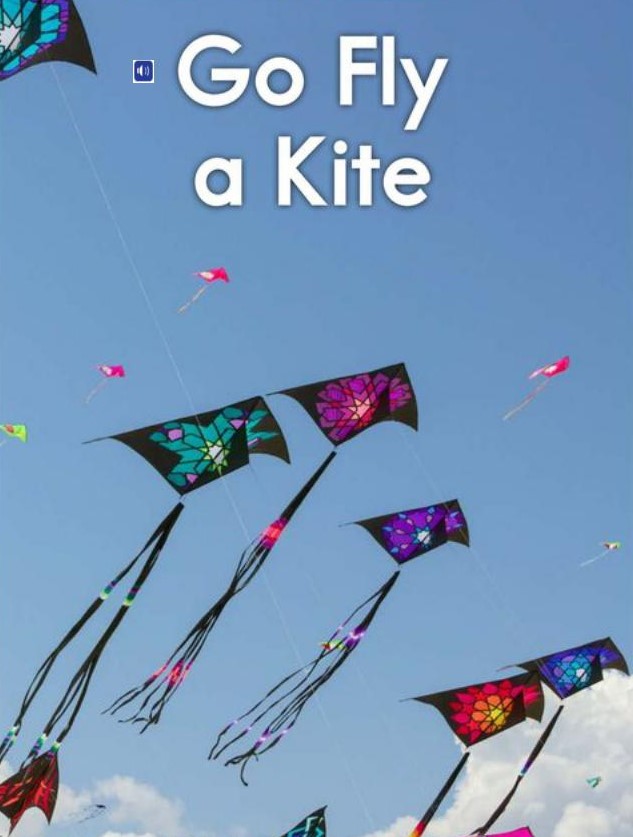 Go fly a kite