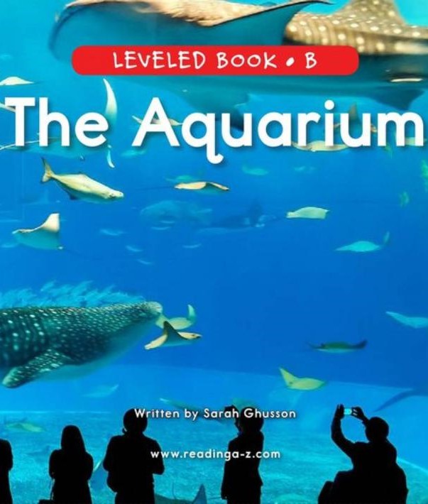 The Aquarium