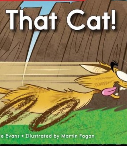 Stop That Cat!