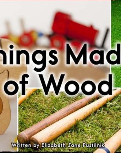 Thing Made of Wood