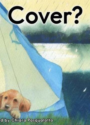 What Gives Cover