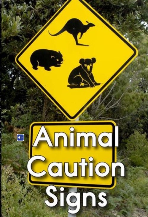 Animal Caution Signs