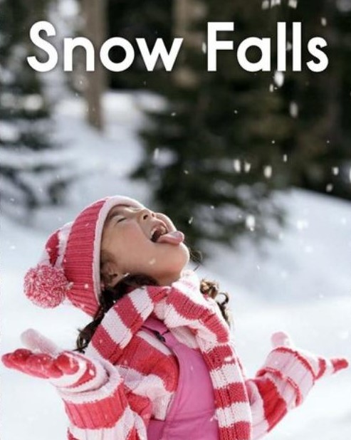 Snow Falls