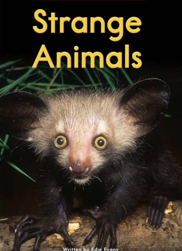 Strange Animals