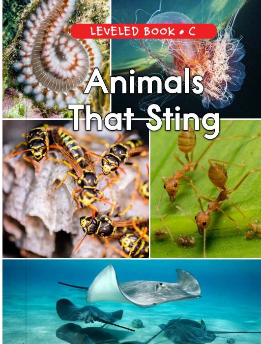 Animals That Sting