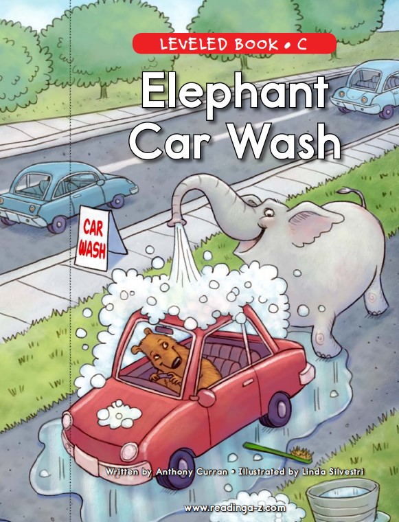 Elephant car wash