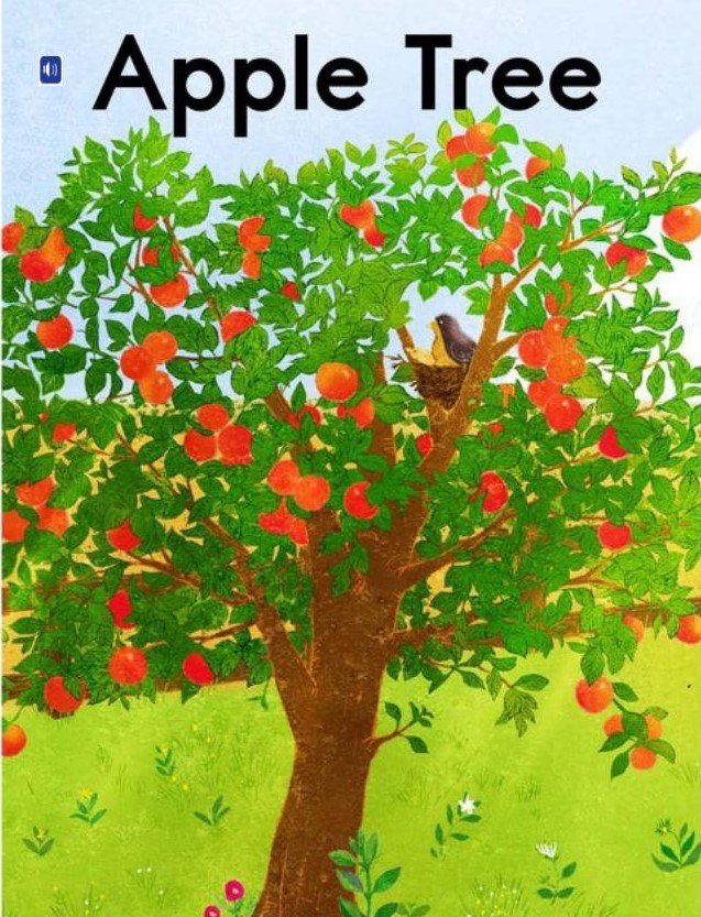 Apple Tree