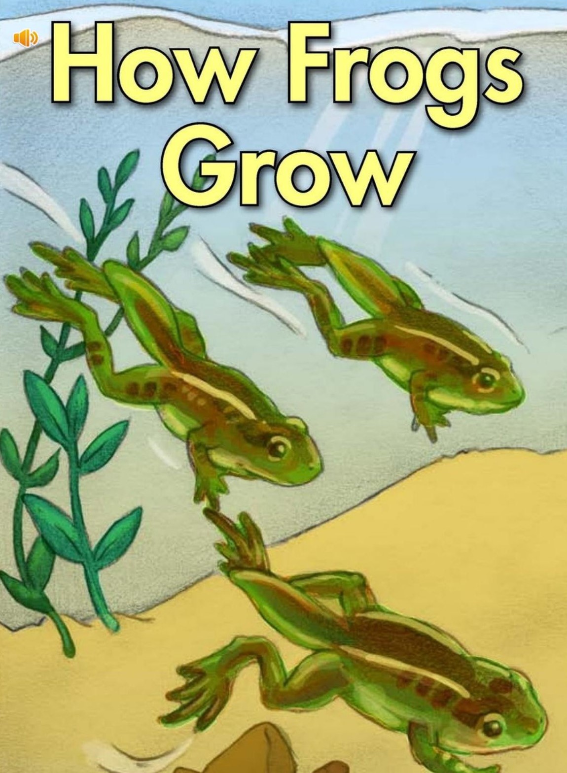How Frogs Grow