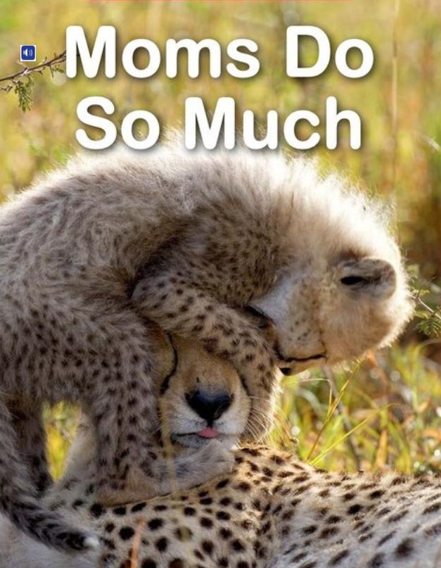 Moms Do So Much