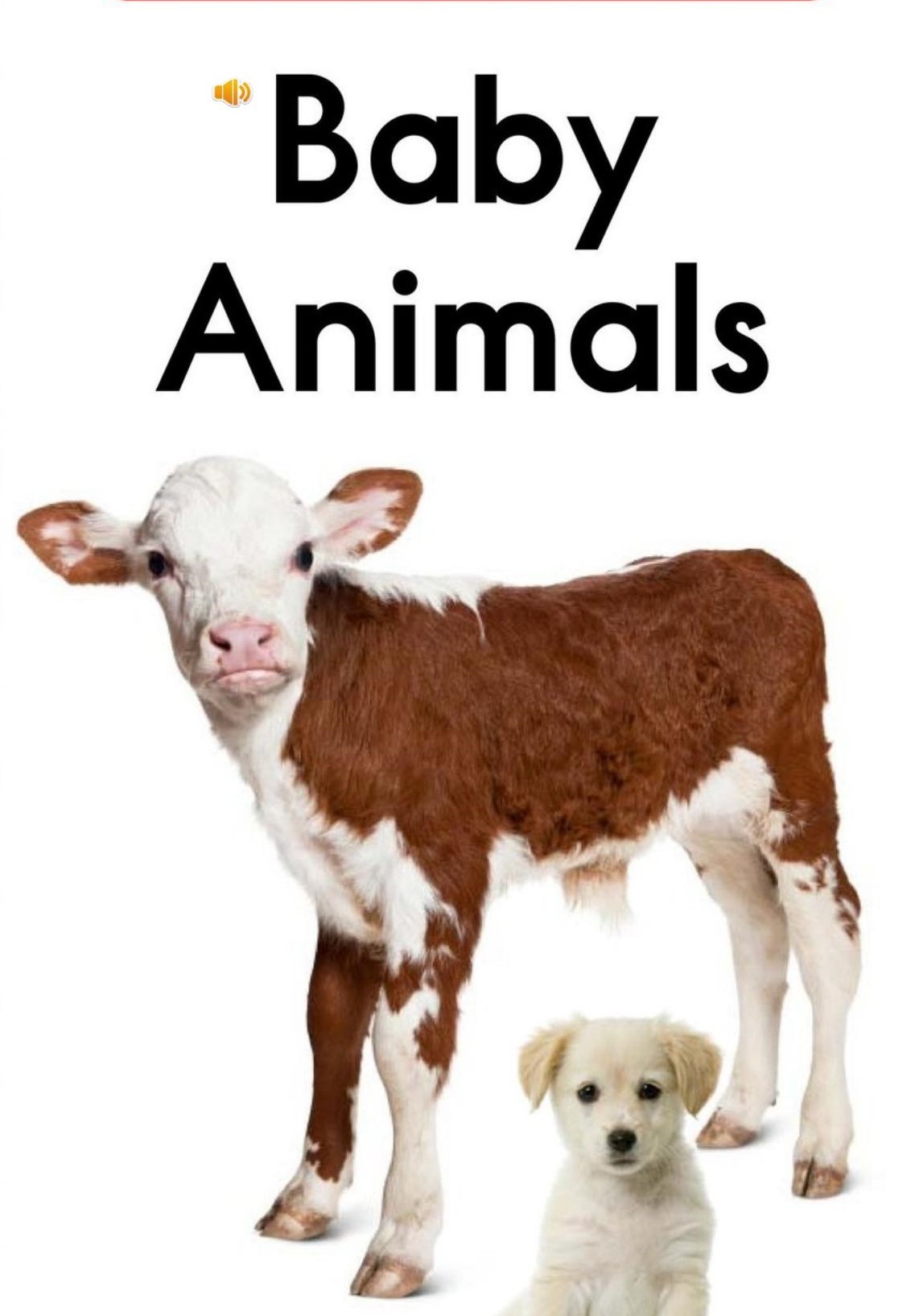 Baby animals