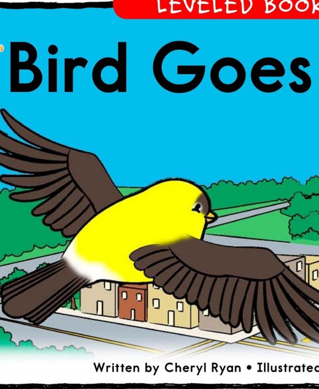Bird goes home