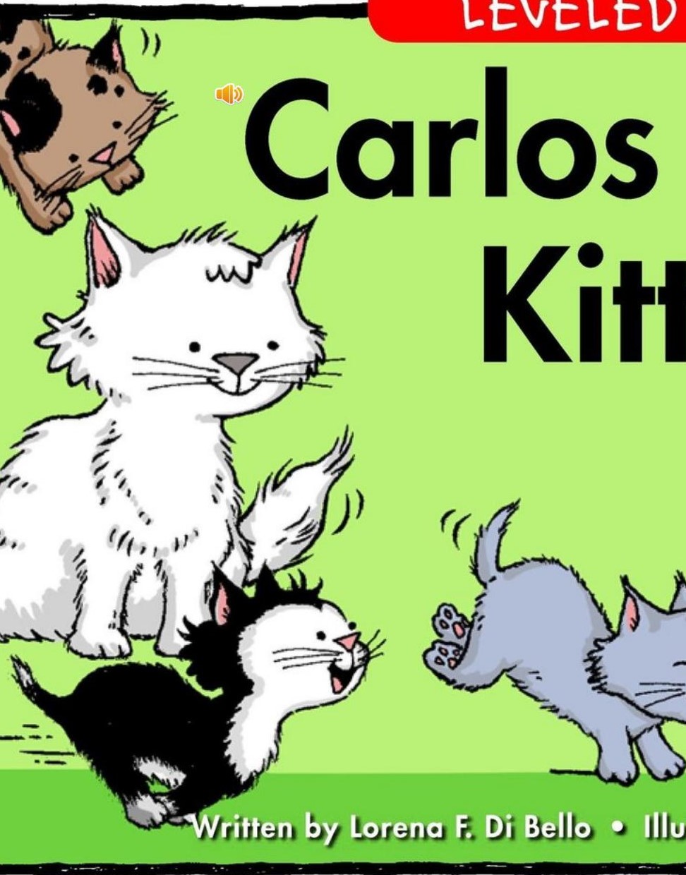 Carlos counts kittens