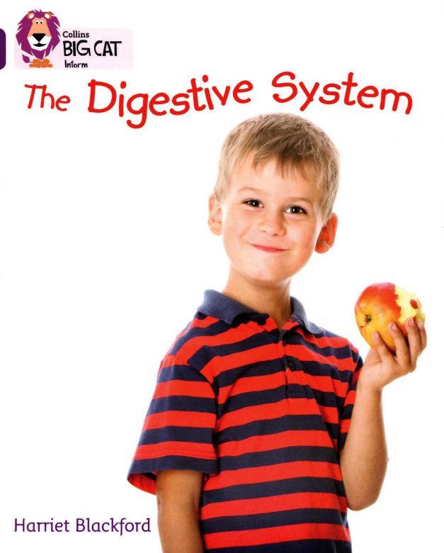 The Digestive System
