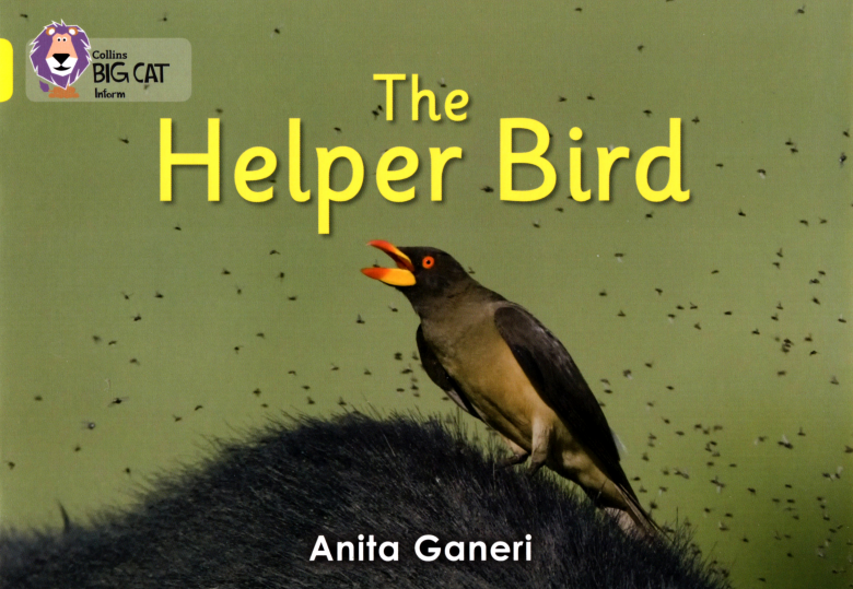 The Helper Bird