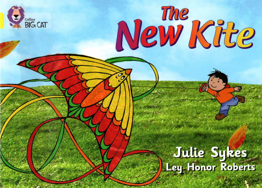 The New Kite