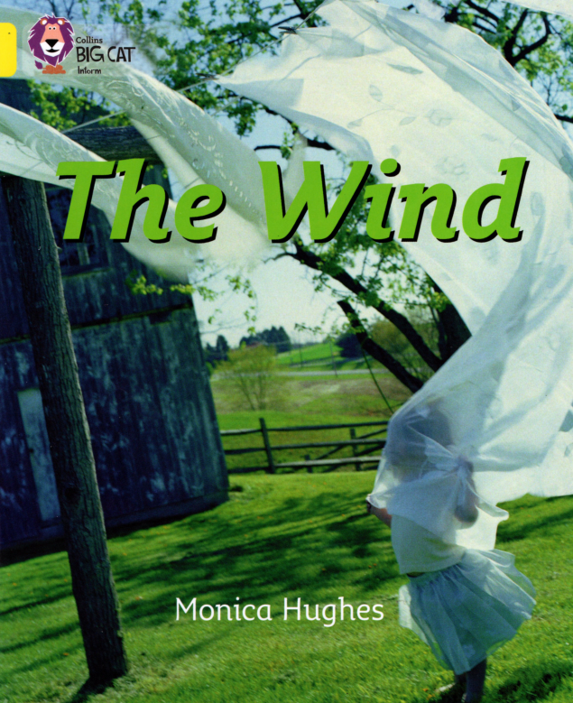The Wind