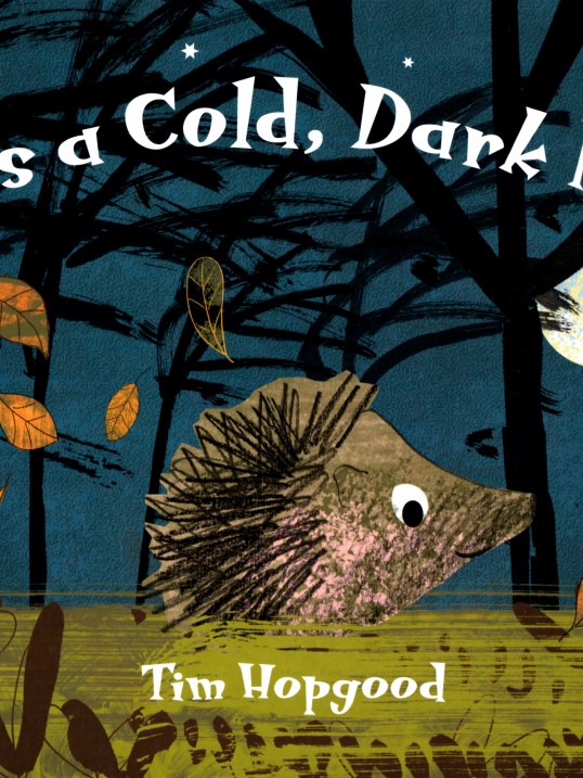 It was a Cold,Dark Night