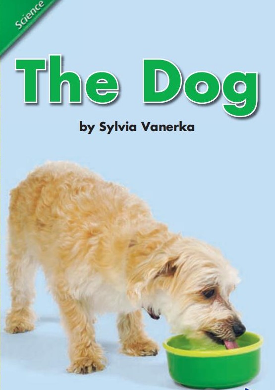 The dog