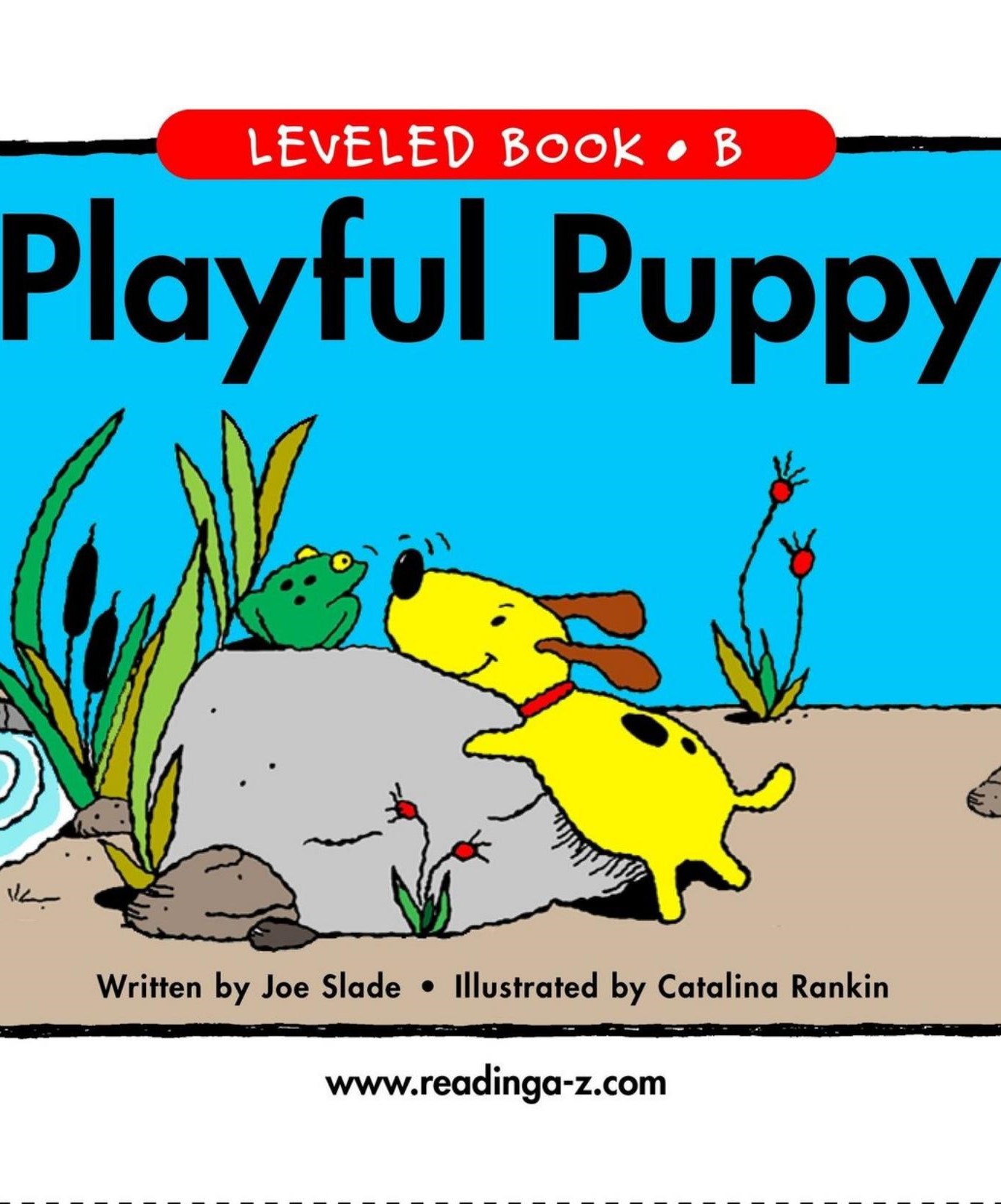 Playful Puppy