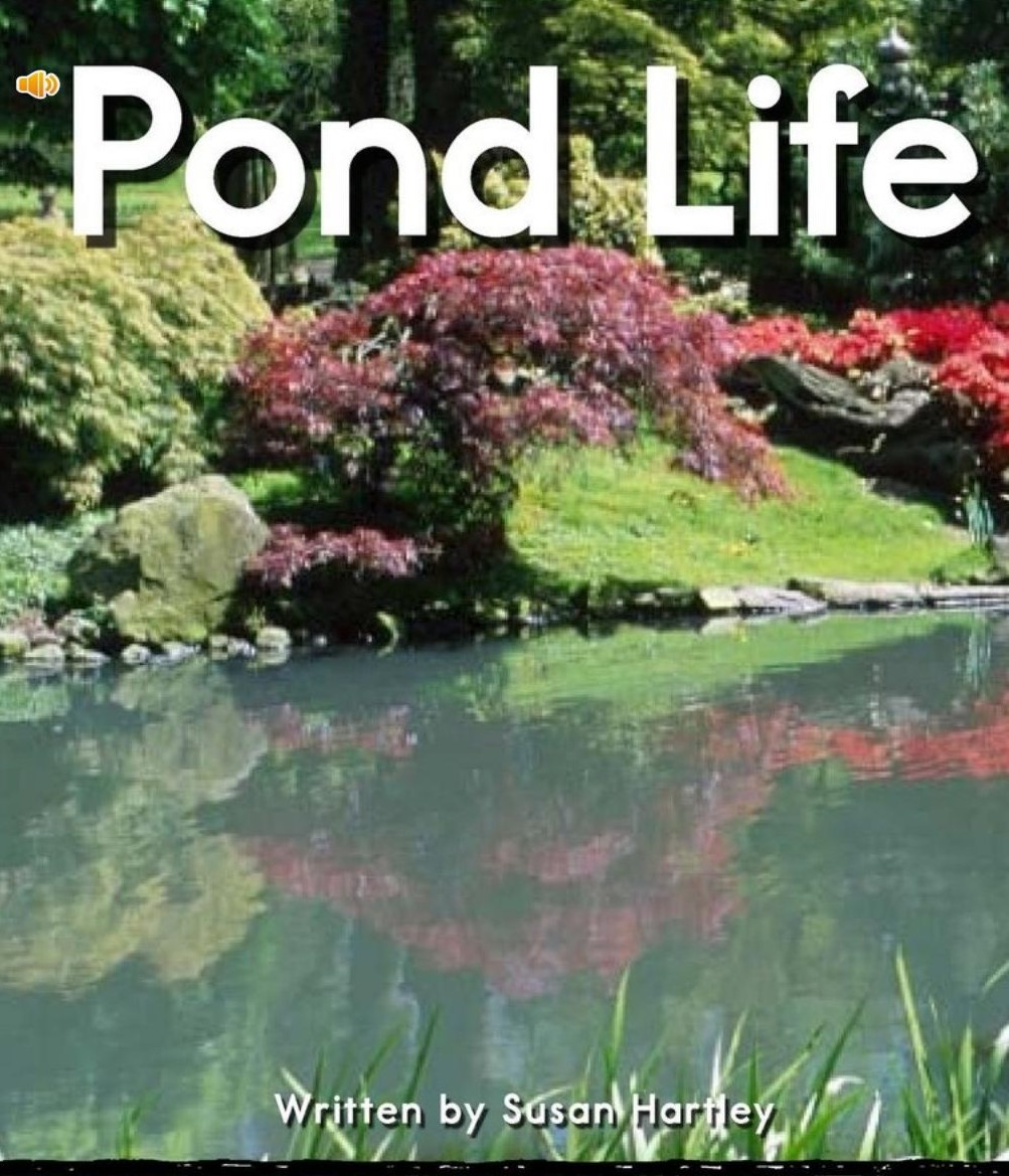 Pond Life