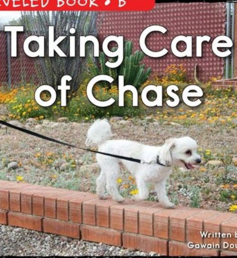 Taking Care of Chase