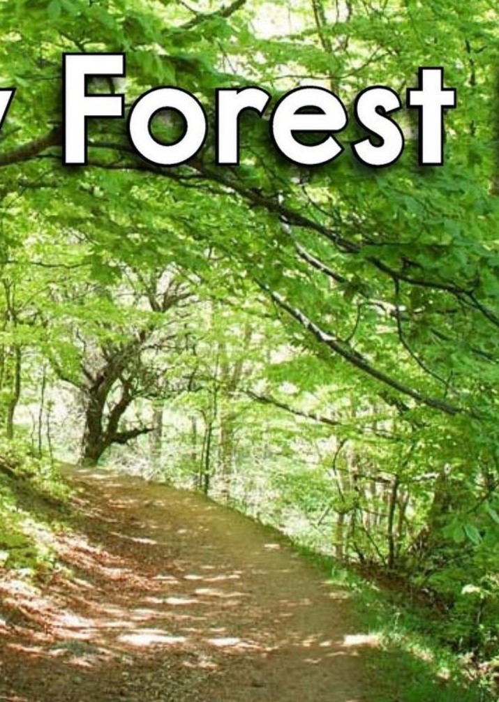 The New Forest Path