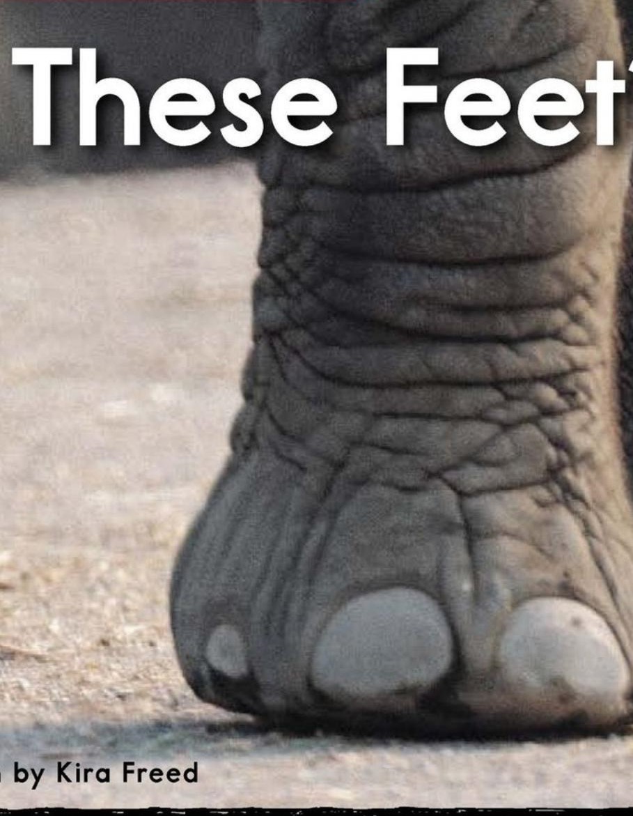 What Has These Feet
