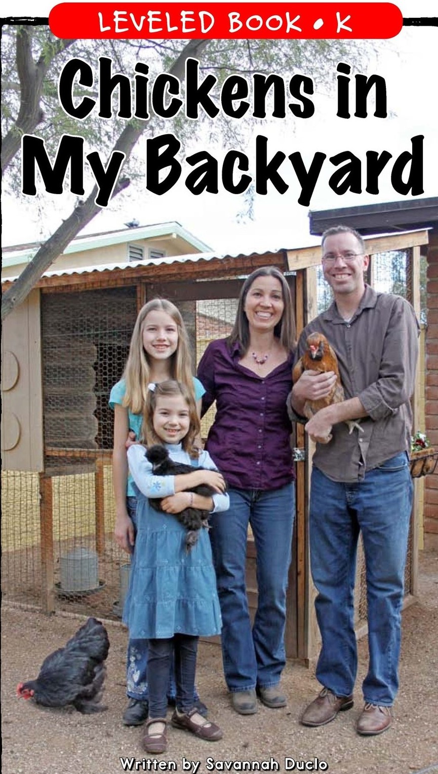 Chickens in My Backyard