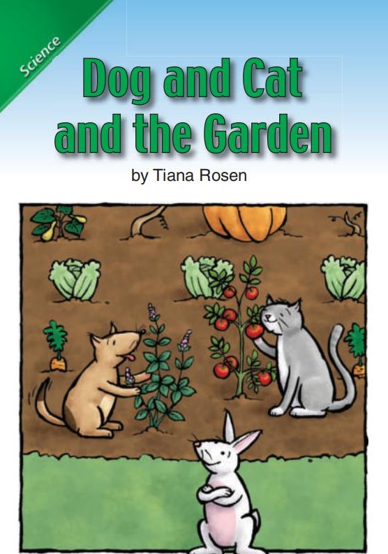 Dog and Cat and the Garden