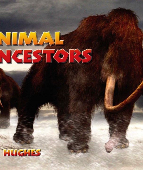 ANIMAL ANCESTORS