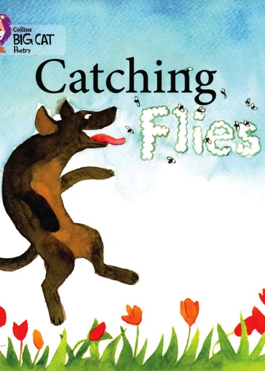 Catching Flies