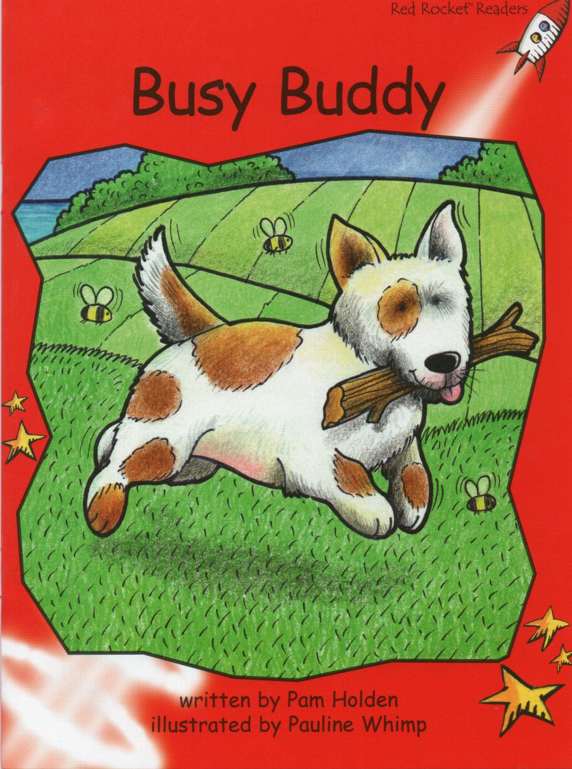 Busy Buddy
