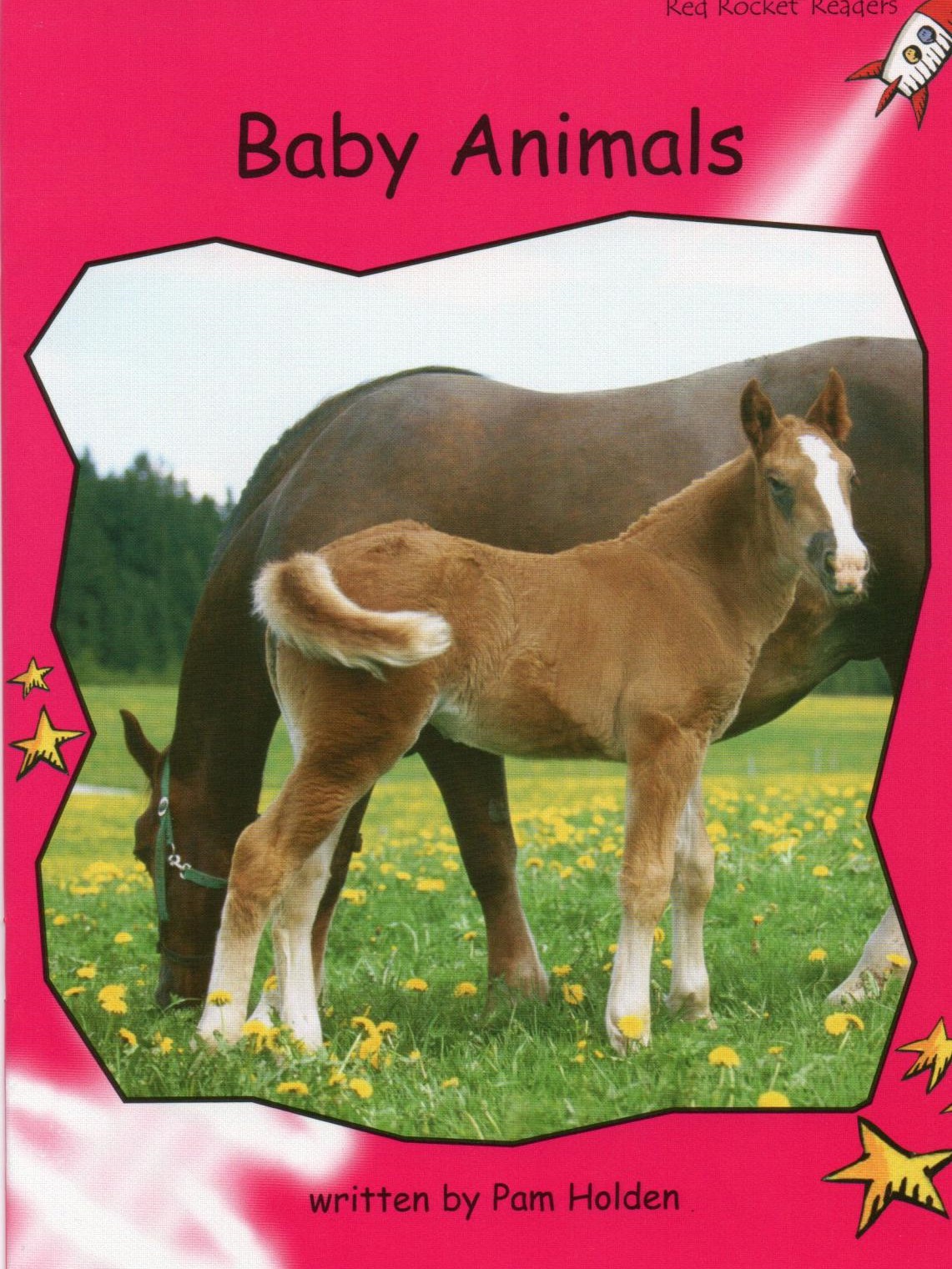 Baby Animals