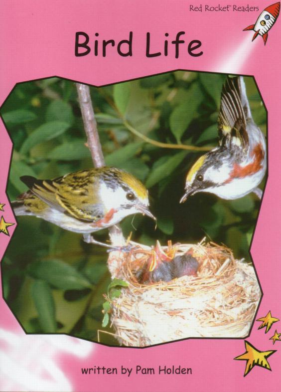 Bird Life