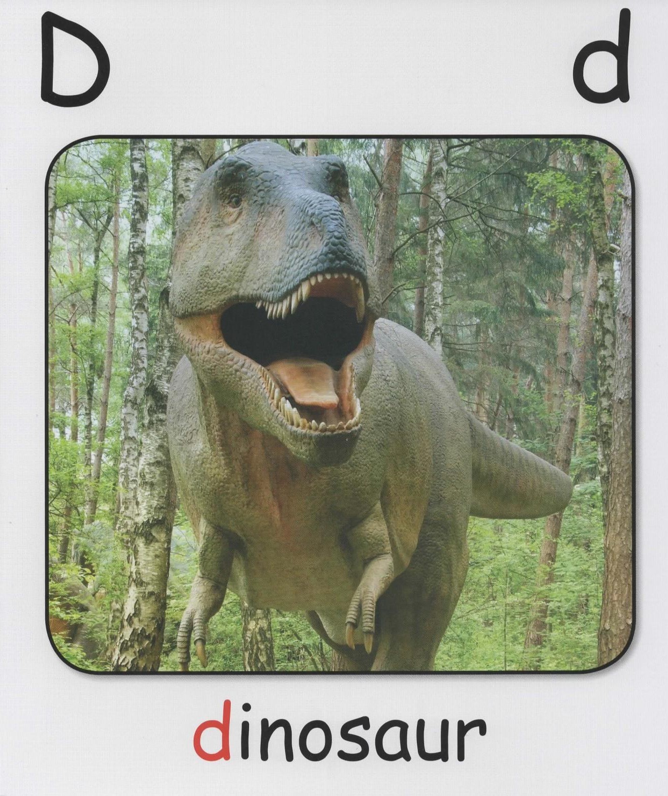 D