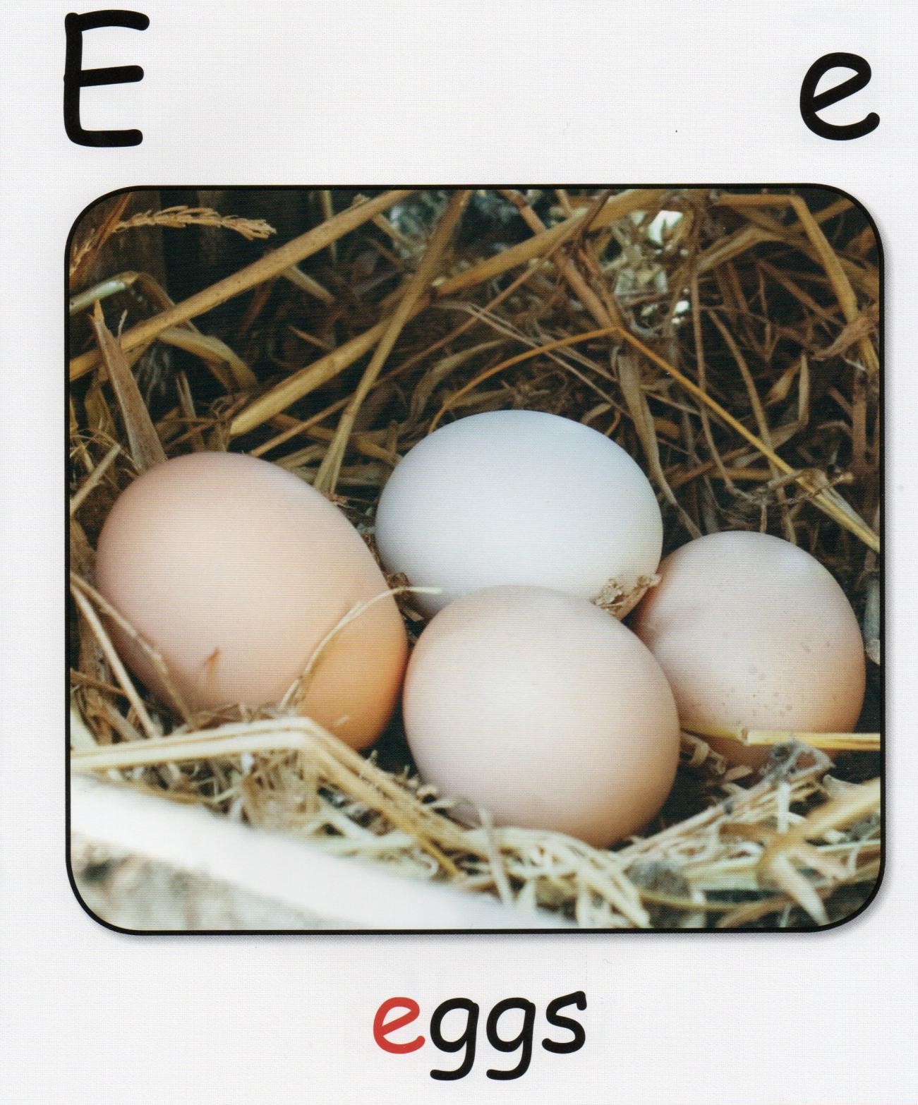 E