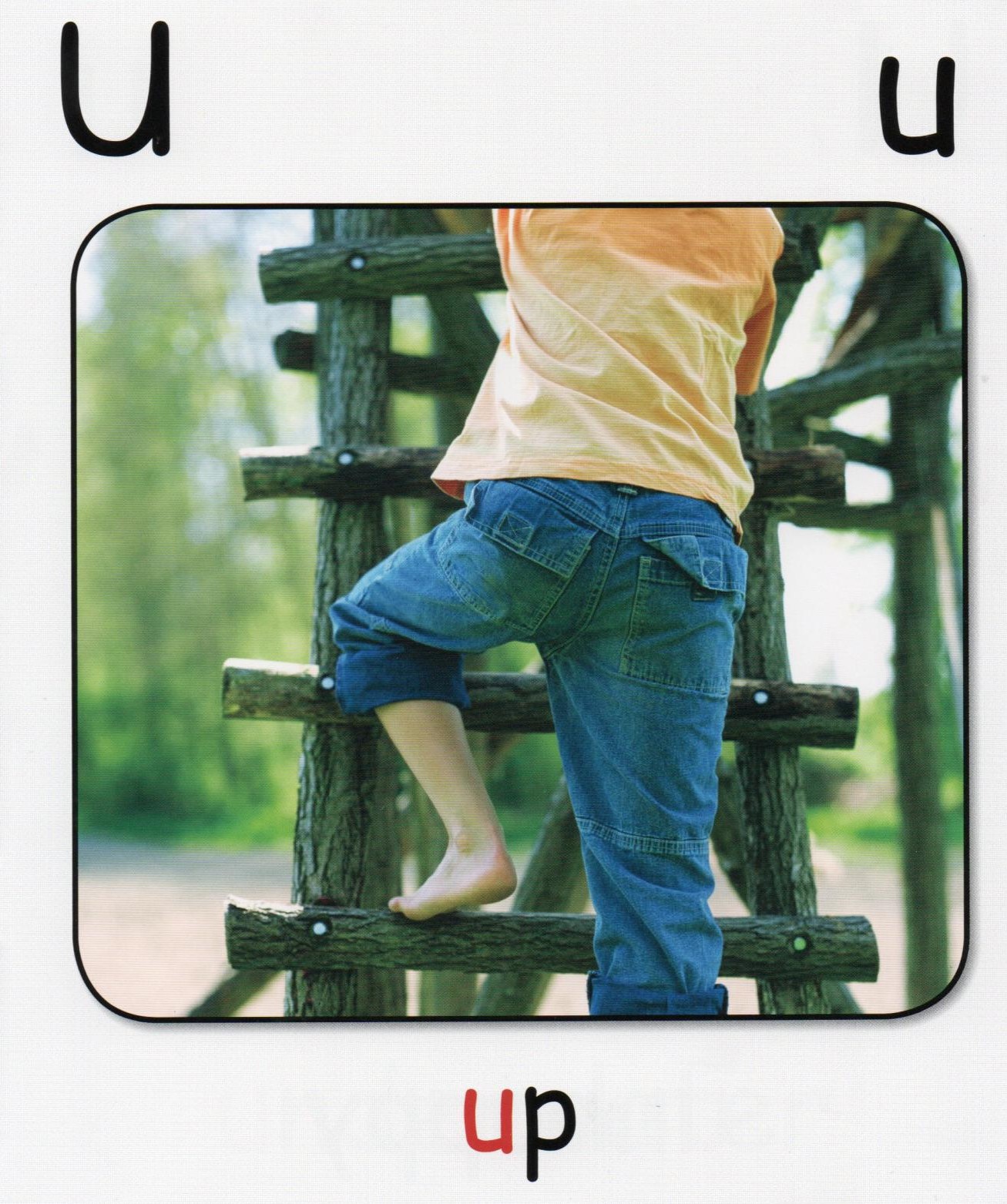 U